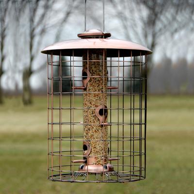 Show full view: Woodlink Brushed Copper Caged 6-Port Tube Wild Bird Feeder, 1.25-lb slide 2 of 3