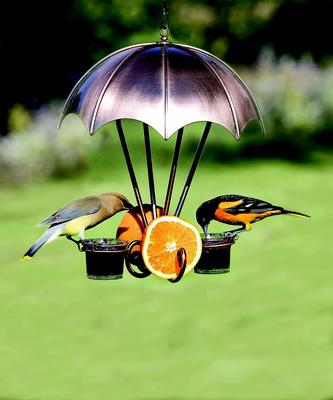 Show full view: Woodlink Brushed Copper Oriole Wild Bird Feeder slide 2 of 2