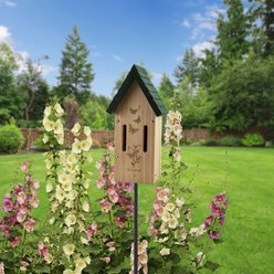 Woodlink Butterfly House slide 2 of 2
