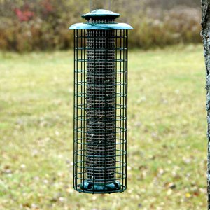 Woodlink Caged Screen Black oil or Peanut Wild Bird Feeder, 1.25-lb