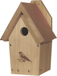 Woodlink Coppertop Bluebird House slide 1 of 3