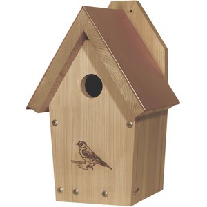 WOODLINK Coppertop Bluebird House - Chewy.com
