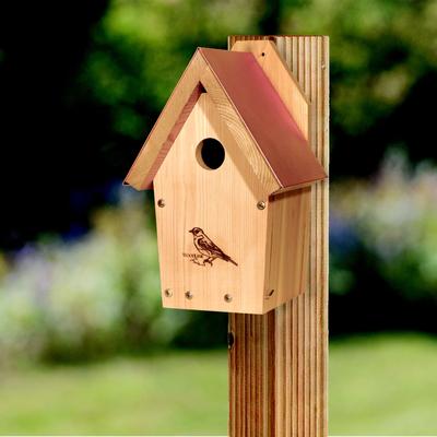 Show full view: Woodlink Coppertop Bluebird House slide 2 of 3