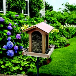 Woodlink Coppertop Hopper Willd Bird Feeder, 13-lb slide 2 of 3