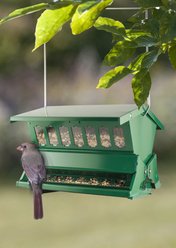 Woodlink Promotional Absolute Squirrel Resistant Winter Wild Bird Feeder, Green slide 2 of 2