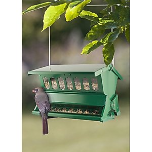 Woodlink Promotional Absolute® Squirrel Resistant Winter Wild Bird Feeder, Green