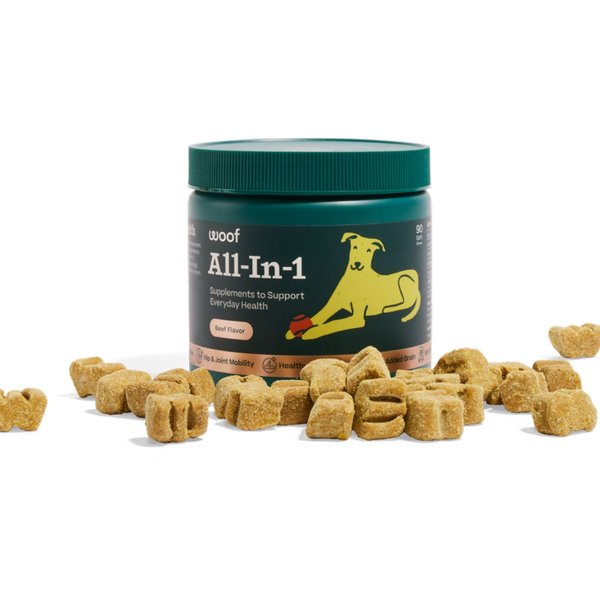 Woof All-In-1 Beef Flavored Chew Vitamin Supplement for Dogs, 90 count