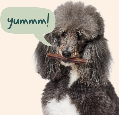 Show full view: Woof All-Natural Collagen Sticks Dog Treats, 6-inch, 5 count slide 6 of 8