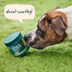 Woof Allergy & Immunity Beef Flavored Chew Supplement for Dogs, 90 count slide 2 of 4