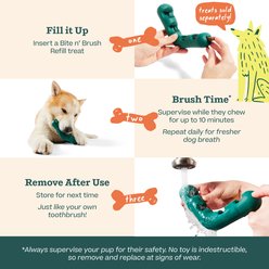 Woof Bite n' Brush Dog Toothbrush Toy Dental Stick Dispenser, Green, Small slide 2 of 9
