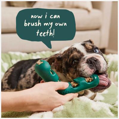 Show full view: Woof Bite n' Brush Refill Grain-Free Chicken Sticks Adult Dental Dog Chew Treats, 8-oz bag slide 7 of 9