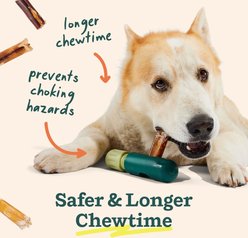 Woof BullySafe Dog Chew Treat Holder, Green slide 2 of 4