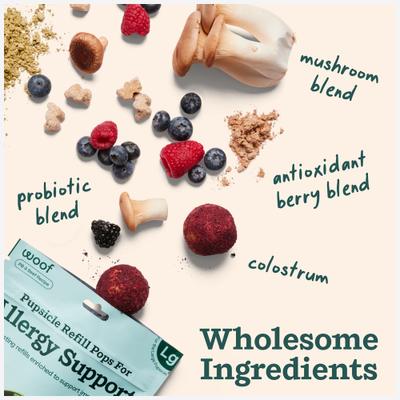 Show full view: Woof Pupsicle Allergy & Immunity Pop Refills Beef Grain-Free Lickable Dog Treats, Large, 7 count slide 4 of 7