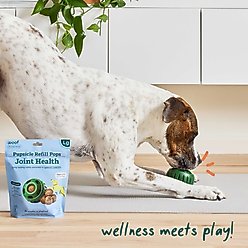 Woof Pupsicle Joint Health Pop Refills Beef Grain-Free Lickable Dog Treats, Large, 7 count slide 2 of 4