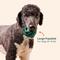 Show in main carousel: Woof Party Pupsicle Treat Dispensing Dog Toy, Dark Green, Large slide 8 of 10