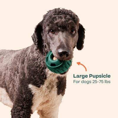 Show full view: Woof Party Pupsicle Treat Dispensing Dog Toy, Dark Green, Large slide 8 of 10