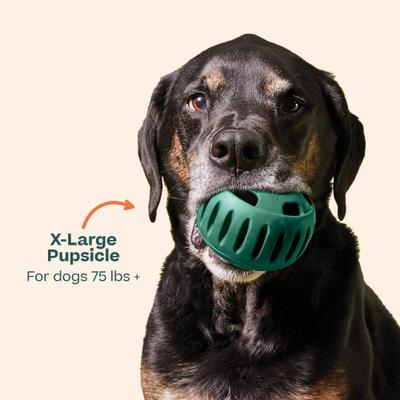 Show full view: Woof Party Pupsicle Treat Dispensing Dog Toy, Dark Green, X-Large slide 8 of 10