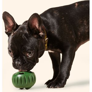 Woof Pupsicle Pops Refills Beef & Peanut Butter Grain-Free Lickable Dog Treats, Large, 7 count