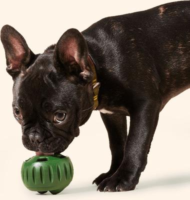 Show full view: Woof Pupsicle Pops Refills Beef & Peanut Butter Grain-Free Lickable Dog Treats, Large, 7 count slide 5 of 8