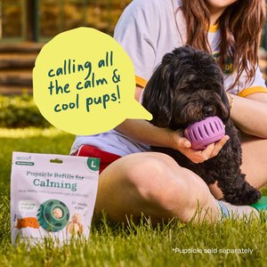Woof Pupsicle Pops Refills Calming Beef Grain-Free Lickable Dog Treats, Large, 7 count