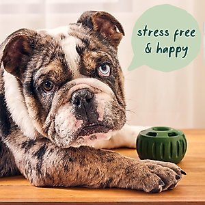 Woof Pupsicle Pops Refills Calming Beef Grain-Free Lickable Dog Treats, Large, 8-oz bag, 7 count