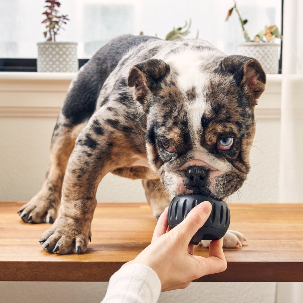 Woof Pupsicle Power Chewer Refillable Dog Treat Dispenser Toy