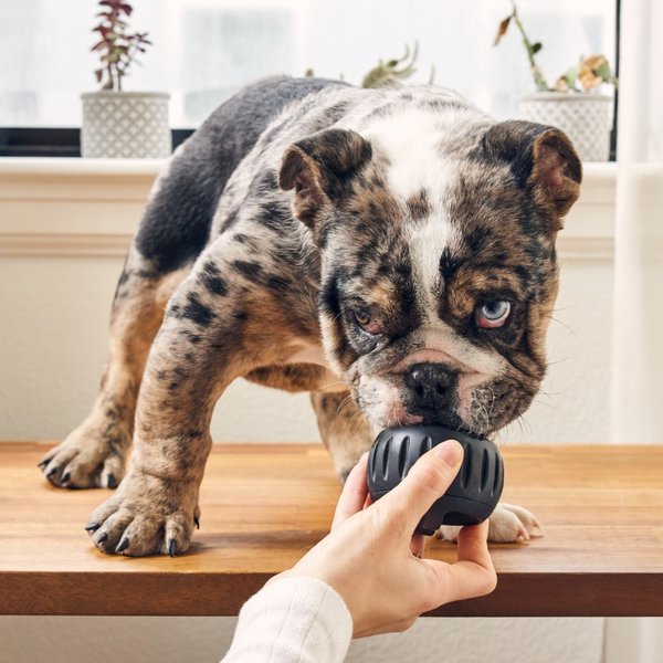 Woof Pupsicle Power Chewer Refillable Dog Treat Dispenser Toy