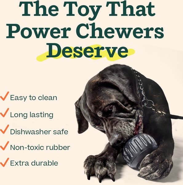 Woof Pupsicle Power Chewer Refillable Dog Treat Dispenser Toy