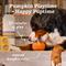 Show in main carousel: Woof Pupsicle Tough Chew Treat Dispensing Dog Toy, Pumpkin, Large slide 2 of 8