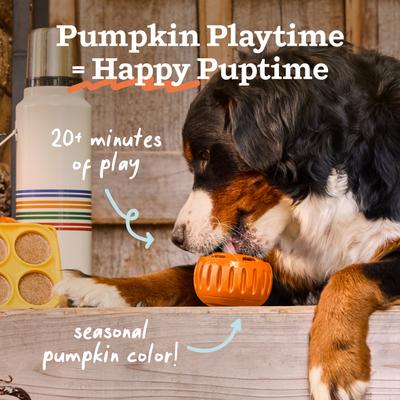 Show full view: Woof Pupsicle Tough Chew Treat Dispensing Dog Toy, Pumpkin, Large slide 2 of 8