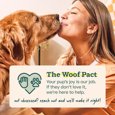 Show full view: Woof Pupsicle Tough Chew Treat Dispensing Dog Toy, Pumpkin, Large slide 8 of 8