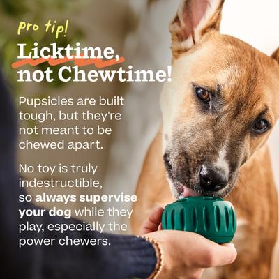 Show full view: Woof Pupsicle Tough Chew Treat Dispensing Dog Toy, Pumpkin, Large slide 6 of 8