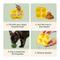 Show in main carousel: Woof Pupsicle Treat Tray Mold Treat Dispenser Dog Toy, X-Large slide 5 of 10