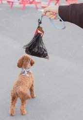 Woof & Wonder Poopy Loop Chocolate Bar Dog Poop Bag Holder slide 2 of 2