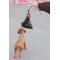 Show in main carousel: Woof & Wonder Poopy Loop Chocolate Bar Dog Poop Bag Holder slide 2 of 2