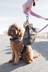 Woof & Wonder Poopy Loop Cookie Dog Poop Bag Holder slide 2 of 2
