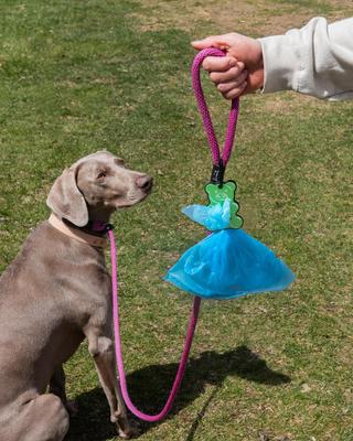 Show full view: Woof & Wonder Poopy Loop Green Gummy Bear Dog Poop Bag Holder slide 2 of 2