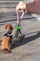 Woof & Wonder Poopy Loop Monstera Dog Poop Bag Holder slide 2 of 2