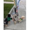 Show in main carousel: Woof & Wonder Poopy Loop Oat Tumbler Dog Poop Bag Holder slide 2 of 2