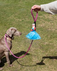Woof & Wonder Poopy Loop Sock Dog Poop Bag Holder slide 2 of 2