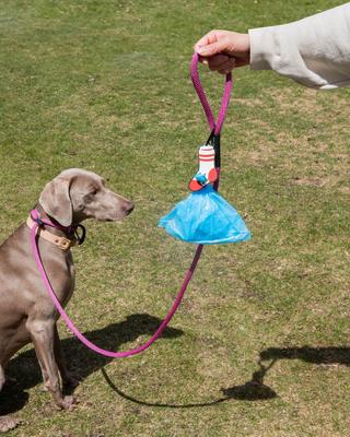 Show full view: Woof & Wonder Poopy Loop Sock Dog Poop Bag Holder slide 2 of 2