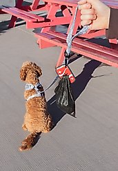 Woof & Wonder Poopy Loop Soda Pop Dog Poop Bag Holder slide 2 of 2