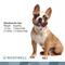 Show in main carousel: WoofWell French Bulldog Health Support Bacon Flavored Soft Chews Dog Supplement, 30 count slide 10 of 11