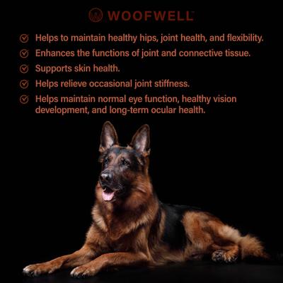 Show full view: WoofWell Health Support Bacon Flavored German Shepherd Soft Chews Dog Supplement, 60 count slide 5 of 7