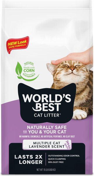 best cat litter smell