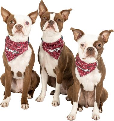 Show full view: Wrangler Removable Dog Bandana Collar, Dark Blue, Large-16-to-24-in-neck-1-2-inch-wide slide 9 of 9