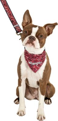 Show full view: Wrangler Removable Dog Bandana Collar, Dark Blue, Large-16-to-24-in-neck-1-2-inch-wide slide 7 of 9