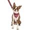 Show in main carousel: Wrangler Removable Dog Bandana Collar, Dark Blue, Medium-14-to-20-in-neck-1-2-inch-wide slide 7 of 9