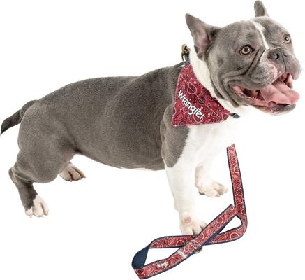 Show full view: Wrangler Removable Dog Bandana Collar, Dark Blue, X-Small: 8 to 12-in neck, 1/2-in wide slide 2 of 9