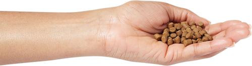 Show full view: Wysong Epigen 90 Digestive Support Dry Ferret Food, 5-lb bag slide 3 of 6